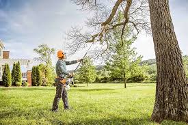 Best Tree Planting Services  in Chandler, TX